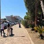 Neli